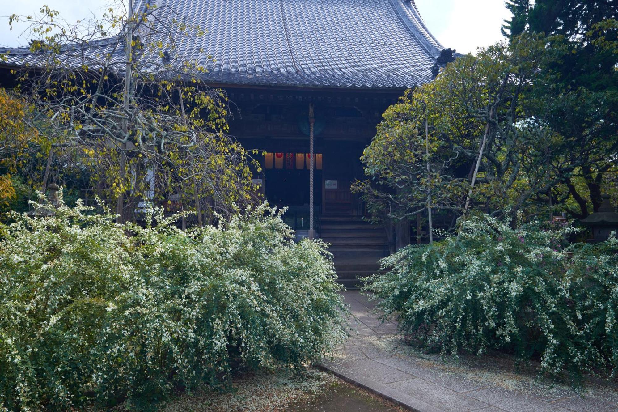 Kamakura Hotel Exterior foto
